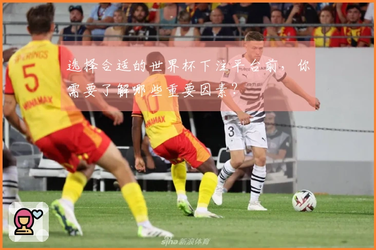 选择合适的世界杯下注平台前，你需要了解哪些重要因素？