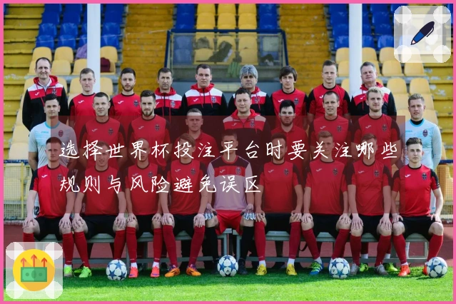 选择世界杯投注平台时要关注哪些规则与风险避免误区