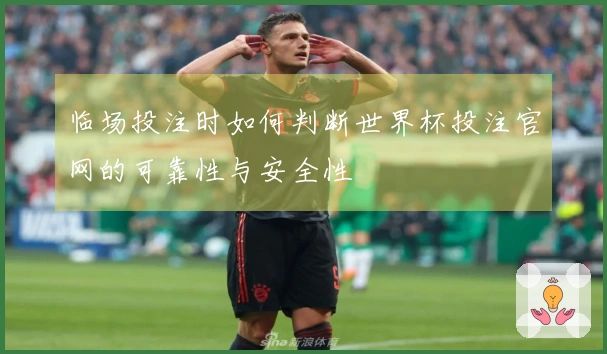 临场投注时如何判断世界杯投注官网的可靠性与安全性