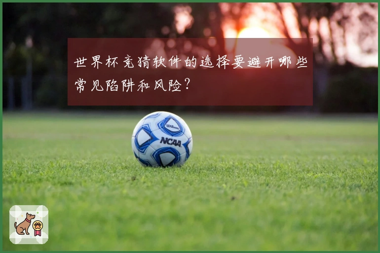 世界杯竞猜软件的选择要避开哪些常见陷阱和风险?