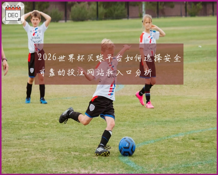 2026世界杯买球平台如何选择安全可靠的投注网站和入口分析