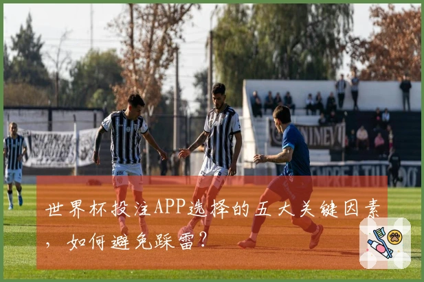 世界杯投注APP选择的五大关键因素，如何避免踩雷？