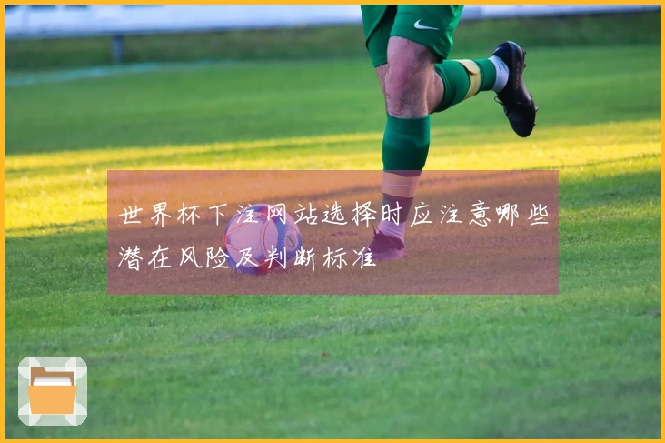 世界杯下注网站选择时应注意哪些潜在风险及判断标准