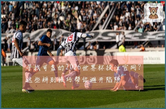 寻找可靠的2026世界杯投注官网？这些辨别技巧帮你避开陷阱
