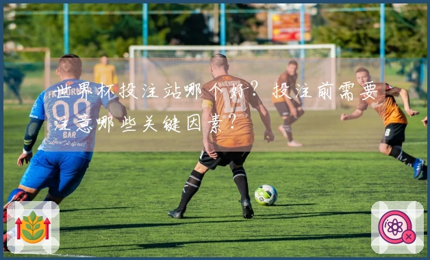 世界杯投注站哪个好?投注前需要注意哪些关键因素?