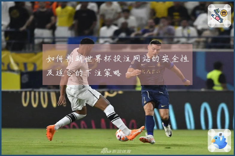 如何判断世界杯投注网站的安全性及适合的下注策略