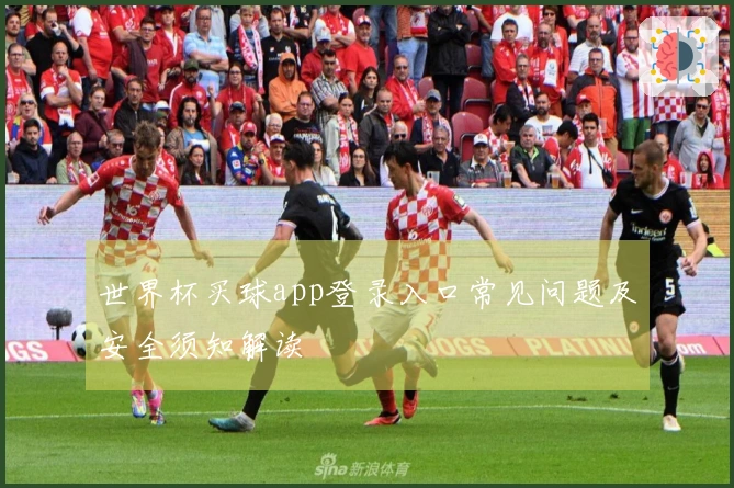 世界杯买球app登录入口常见问题及安全须知解读