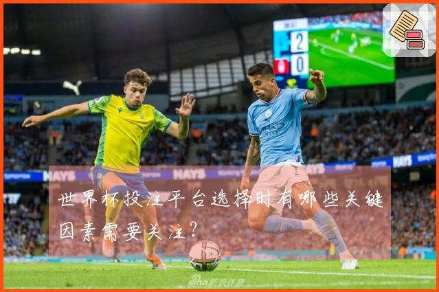 世界杯投注平台选择时有哪些关键因素需要关注？