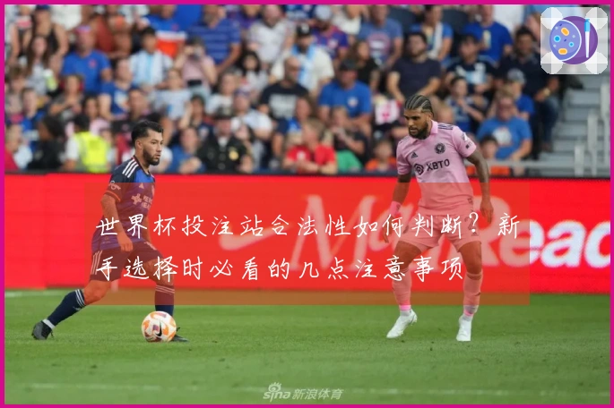 世界杯投注站合法性如何判断？新手选择时必看的几点注意事项