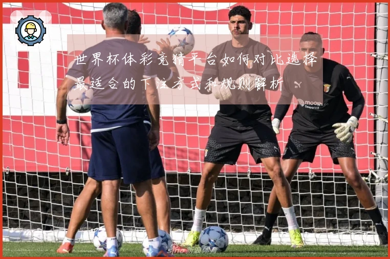 世界杯体彩竞猜平台如何对比选择最适合的下注方式和规则解析