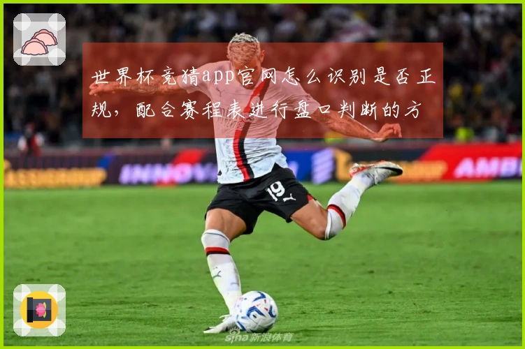 世界杯竞猜app官网怎么识别是否正规,配合赛程表进行盘口判断的方法