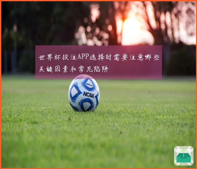 世界杯投注APP选择时需要注意哪些关键因素和常见陷阱
