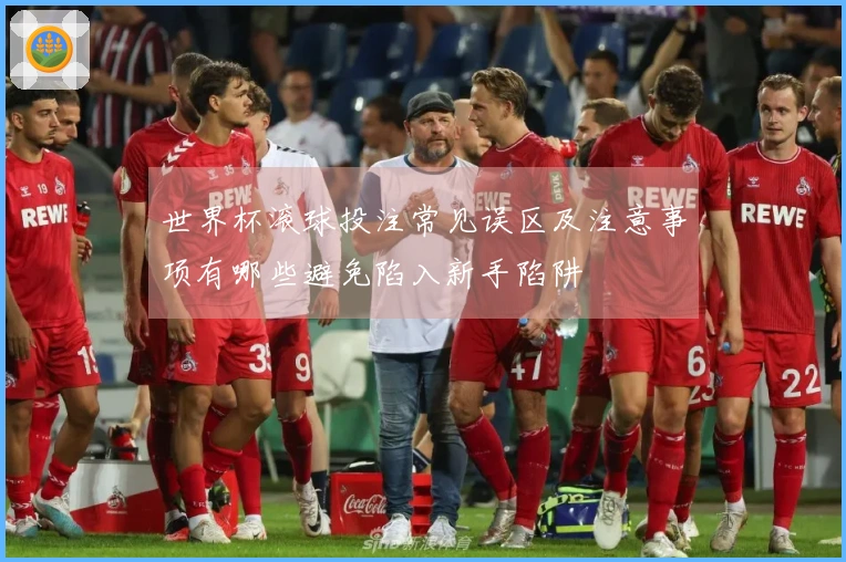 世界杯滚球投注常见误区及注意事项有哪些避免陷入新手陷阱