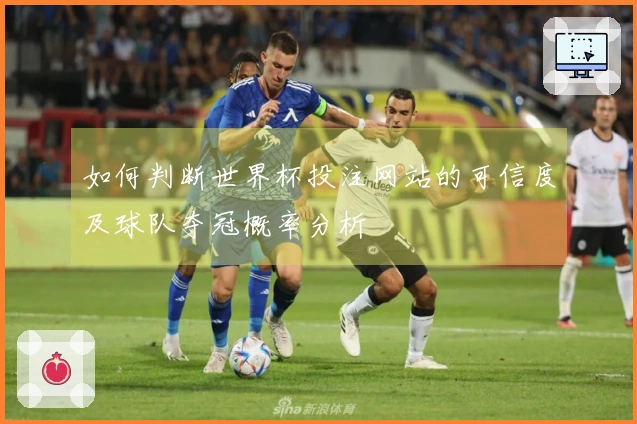 如何判断世界杯投注网站的可信度及球队夺冠概率分析