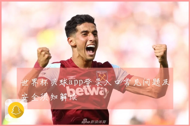 世界杯买球app登录入口常见问题及安全须知解读