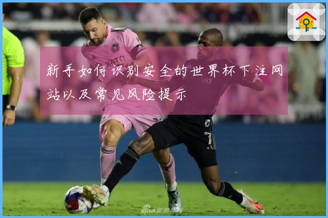 新手如何识别安全的世界杯下注网站以及常见风险提示