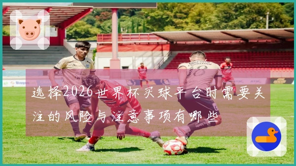 选择2026世界杯买球平台时需要关注的风险与注意事项有哪些