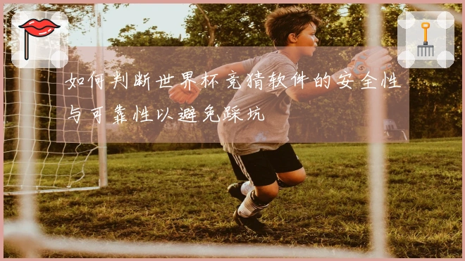 如何判断世界杯竞猜软件的安全性与可靠性以避免踩坑