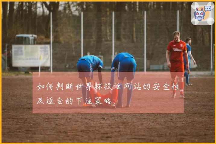 如何判断世界杯投注网站的安全性及适合的下注策略