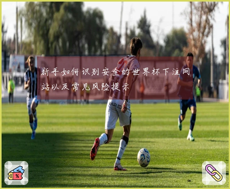 新手如何识别安全的世界杯下注网站以及常见风险提示