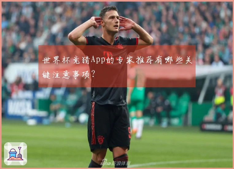 世界杯竞猜App的专家推荐有哪些关键注意事项？