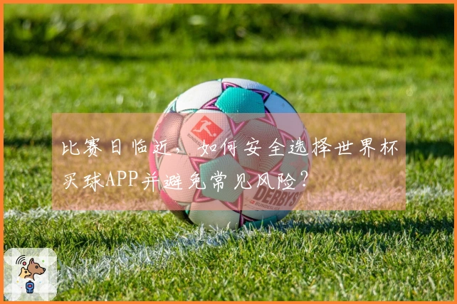 比赛日临近，如何安全选择世界杯买球APP并避免常见风险？