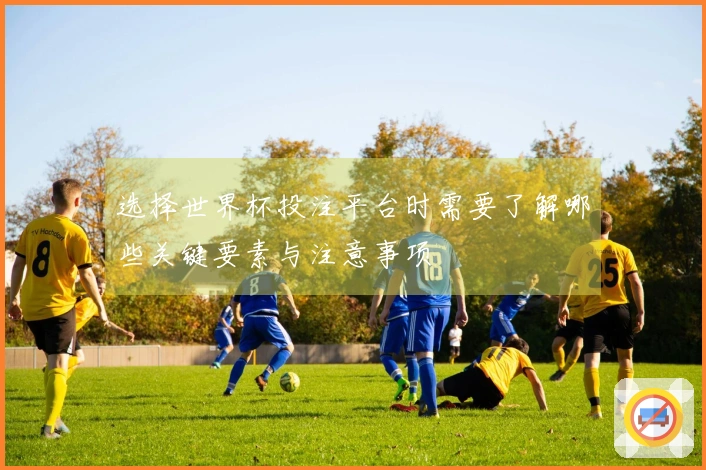选择世界杯投注平台时需要了解哪些关键要素与注意事项