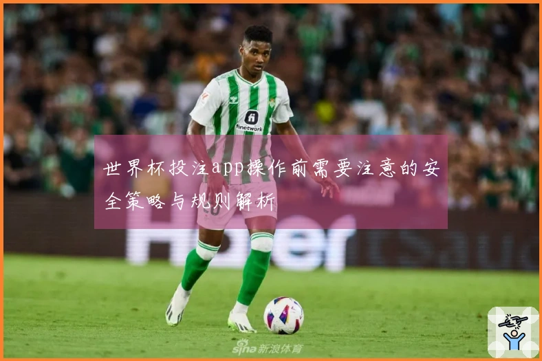 世界杯投注app操作前需要注意的安全策略与规则解析